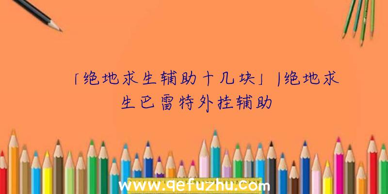 「绝地求生辅助十几块」|绝地求生巴雷特外挂辅助